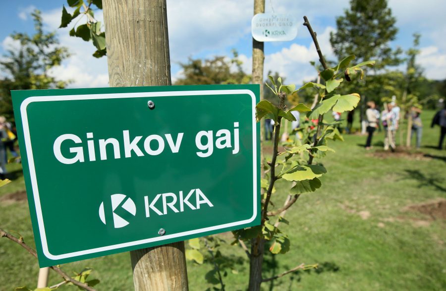 Rastlina, na katero je čas popolnoma pozabil